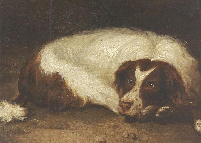 unknow artist A sporting dog lying down France oil painting art